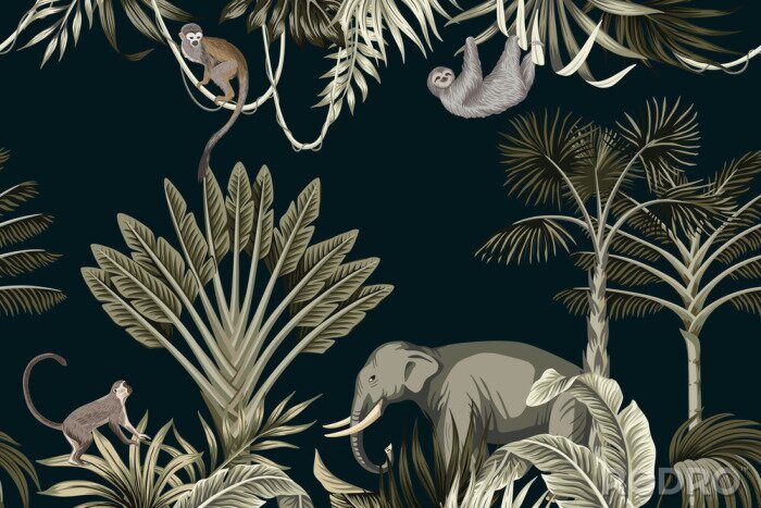 Tapete Dschungeltiere auf schwarzem Hintergrund