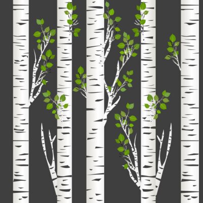 Tapete Dunkle Nacht in den Birken