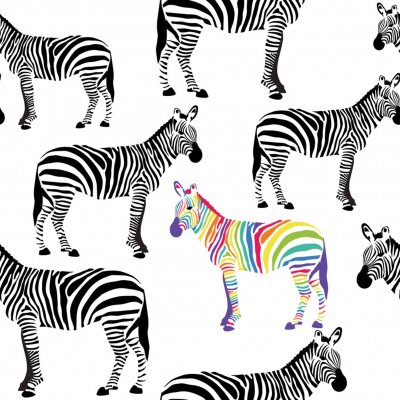 Tapete Ein buntes Zebra inmitten von schwarz-weißen Zebras