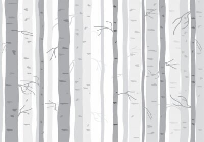 Tapete Einfarbige Birken
