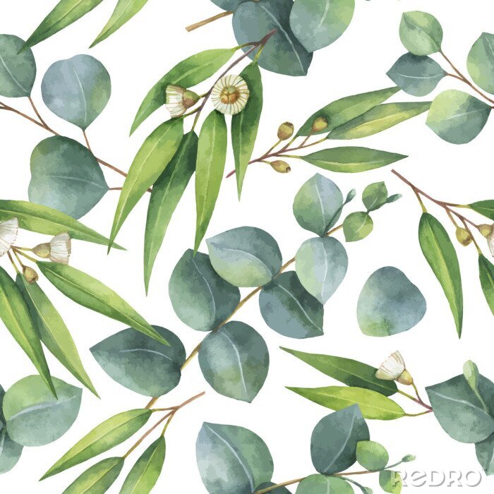 Tapete Eukalyptusgrüne Dickichte