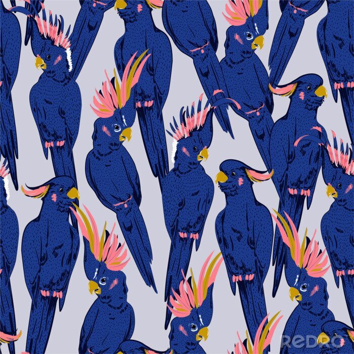 Tapete Exotische blaue Kakadu-Vögel