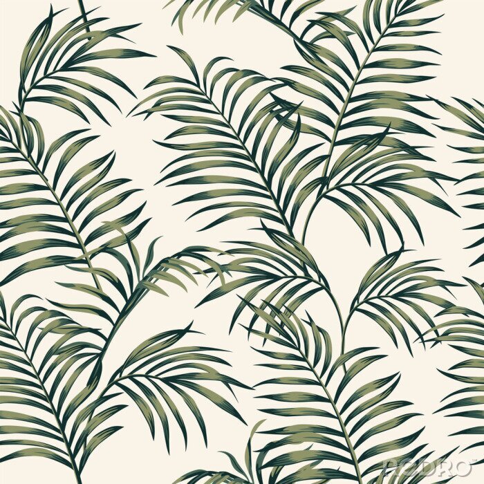 Tapete Exotische grüne Palmenblätter auf hellem Hintergrund