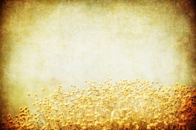 Feld auf Vintage Hintergrund