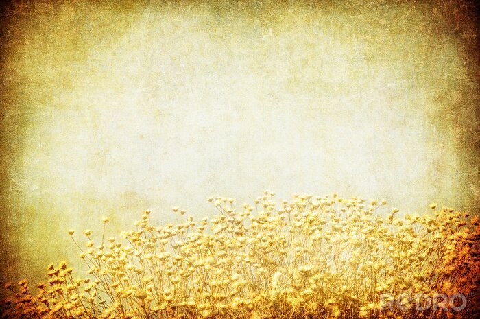 Tapete Feld auf Vintage Hintergrund