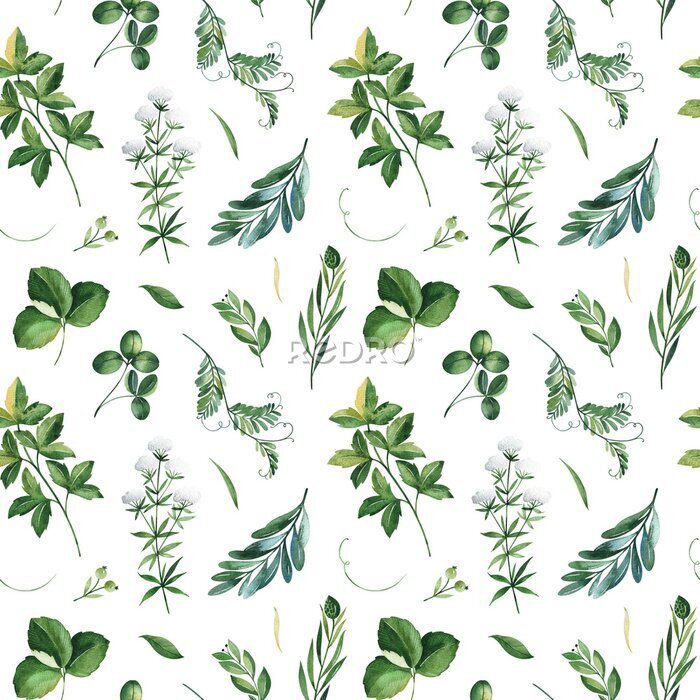 Tapete Feldgrüne Blätter