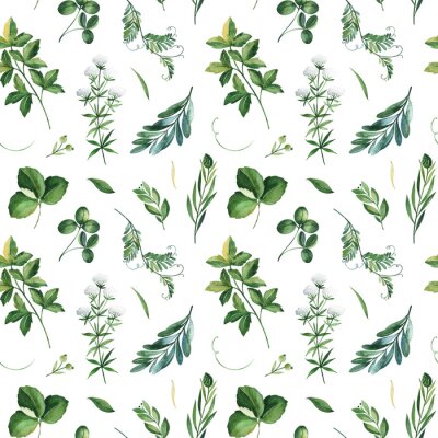 Tapete Feldgrüne Blätter