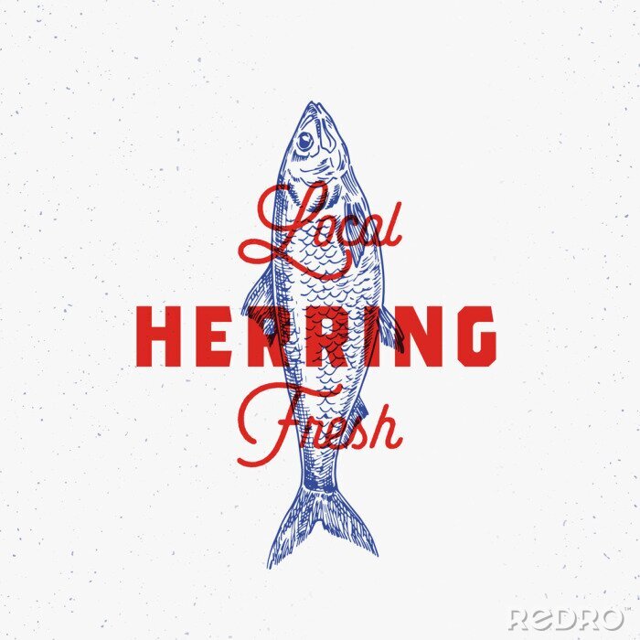 Tapete Fische Grafik mit blauen Umrissen und roter Beschriftung