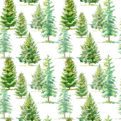 Tapete Floral nahtlose Muster einer Fichte tree.Watercolor Hand gezeichnet illustration.White Hintergrund.