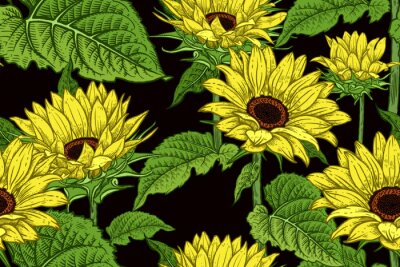 Tapete Floral seamless pattern with blooming Sunflowers.