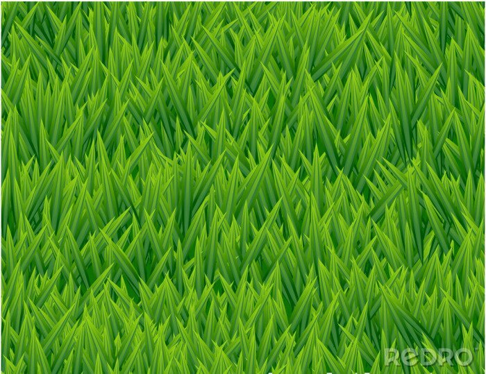 Tapete Frisch gewachsenes Gras