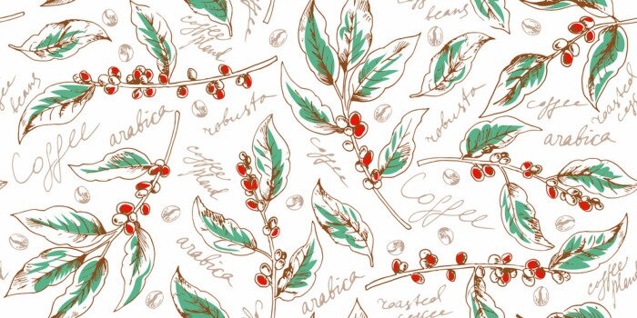 Tapete Früchte einer Kaffeepflanze