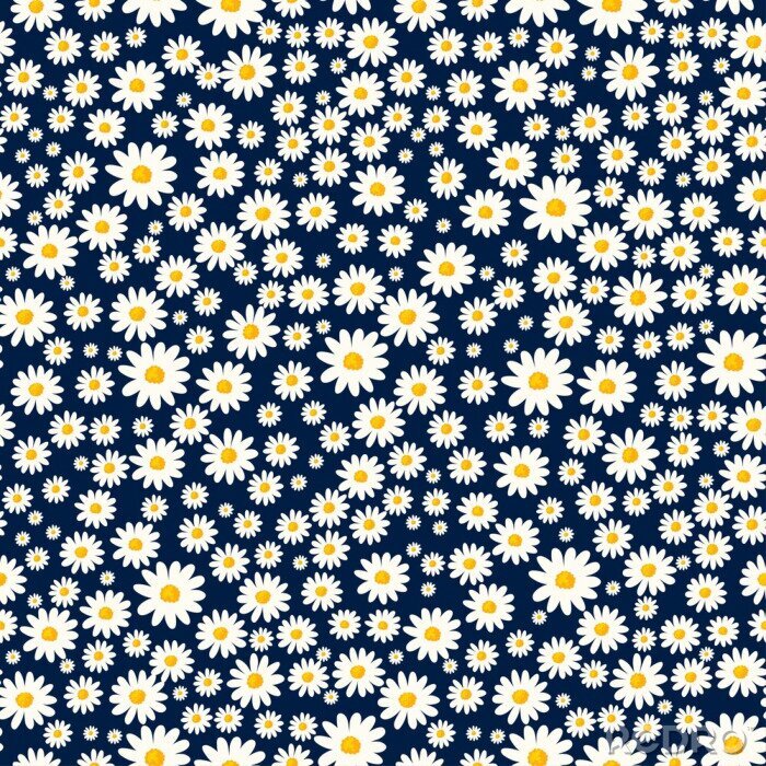 Tapete Gänseblümchen auf dunkelblauem Hintergrund
