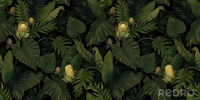 Tapete Geheimnisvolle exotische Dickichte