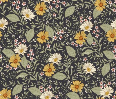 Gelbe und weiße Calendula-Blüten