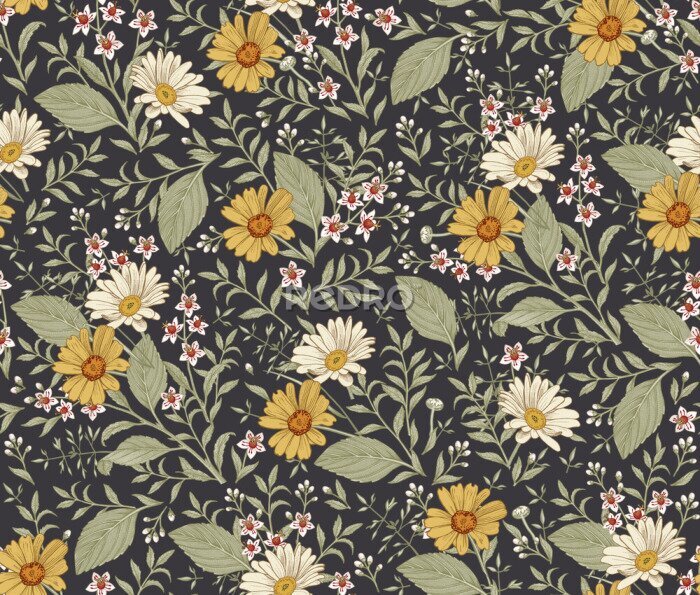 Tapete Gelbe und weiße Calendula-Blüten