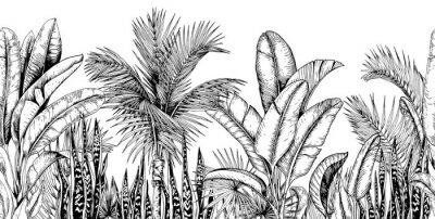 Gestrüpp von tropischen Pflanzen schwarz-weiße Zeichnung