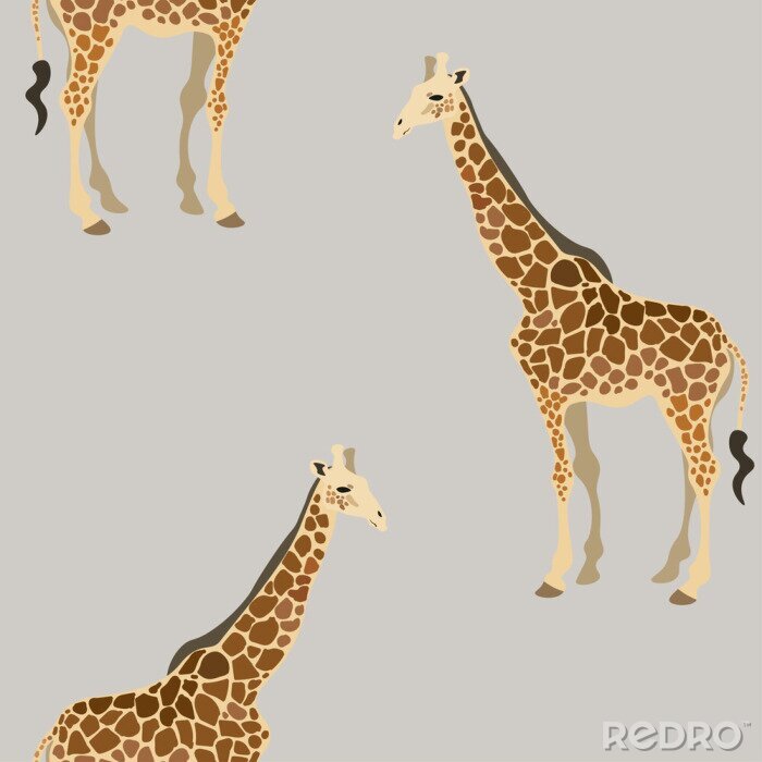 Tapete Giraffen auf grauem Hintergrund