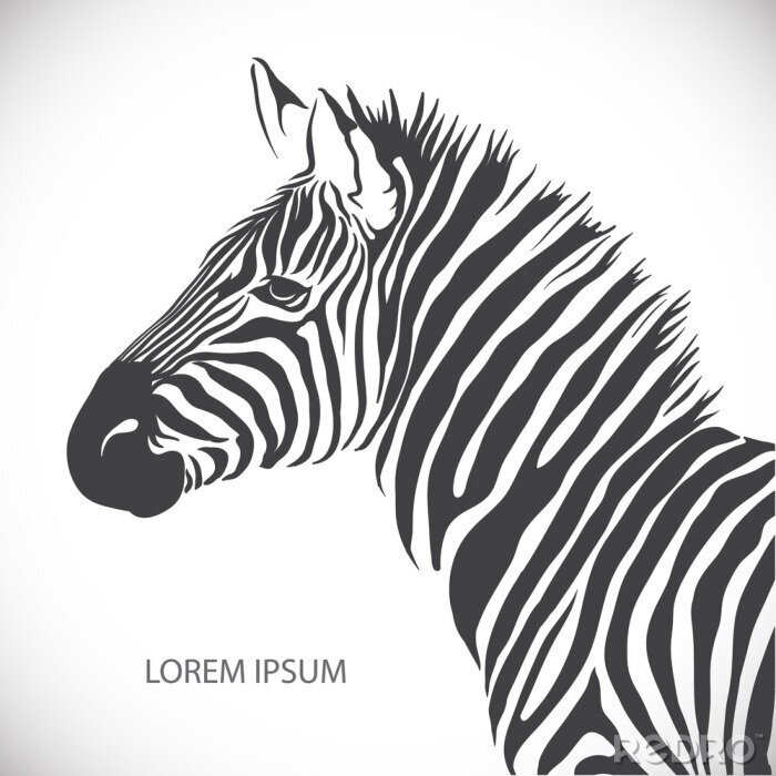 Tapete Grafik mit Porträt eines Zebras