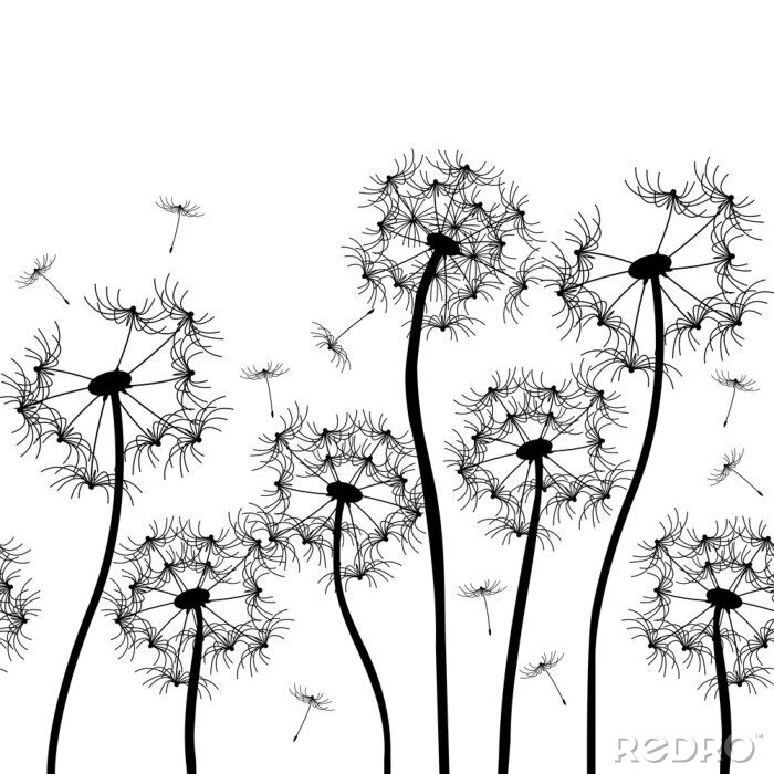 Tapete Grafik mit Pusteblumen