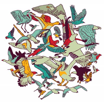 Grafische Darstellung verschiedener Vögel