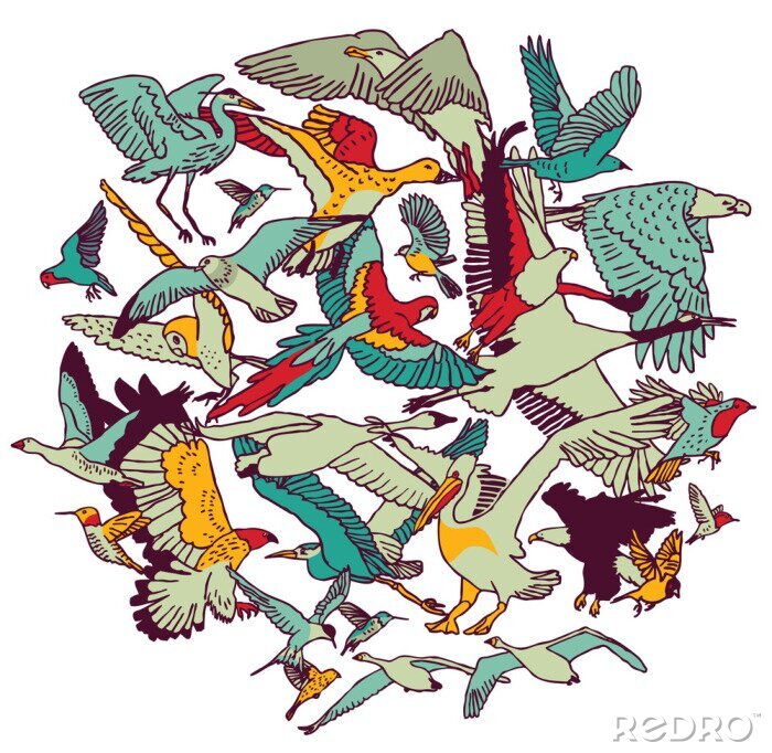 Tapete Grafische Darstellung verschiedener Vögel