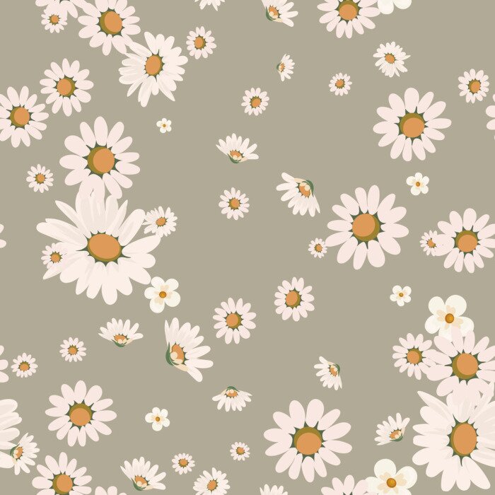 Tapete Grafische Gänseblümchen auf grauem Hintergrund