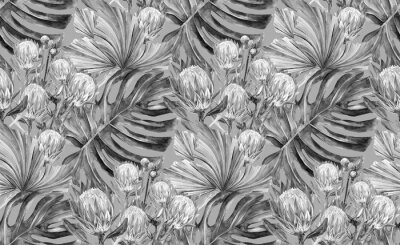 Graue tropische Zusammensetzung