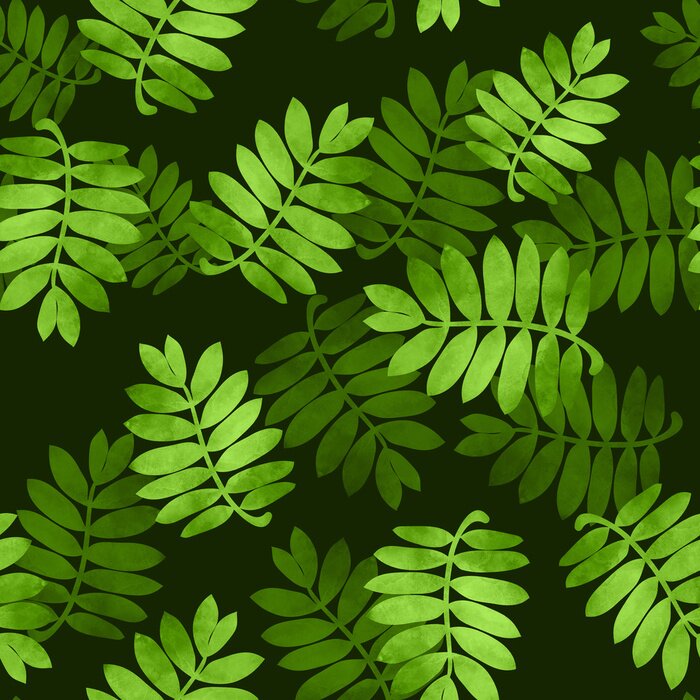 Tapete Grüne Blätter unter Schwarzem