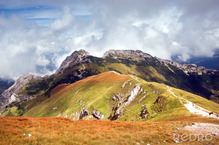 Tapete Grüne Gebirgsgipfel
