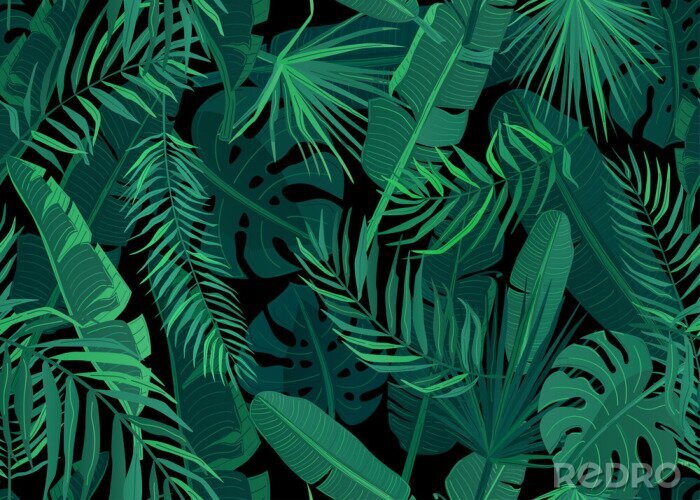 Tapete Grüne tropische Blätter auf schwarzem Hintergrund