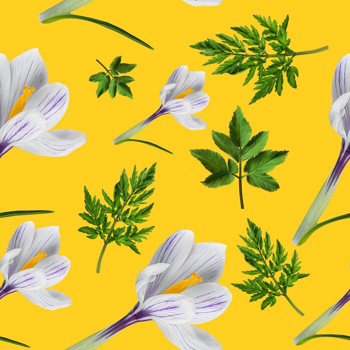 Tapete Grüne Vegetation mit weißen Krokussen