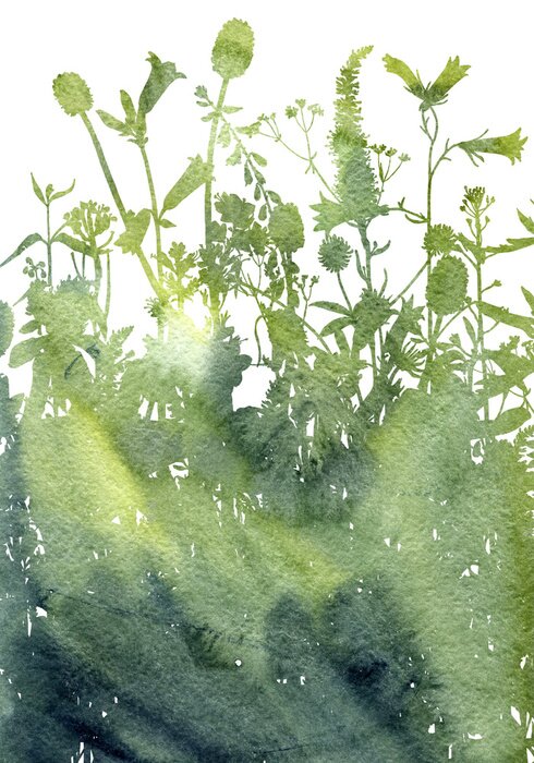 Tapete Grüne Wiesen Aquarell