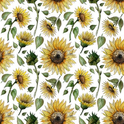 Tapete Hand drawn watercolor seamless pattern with sunflower flowers on a white background for your disign.