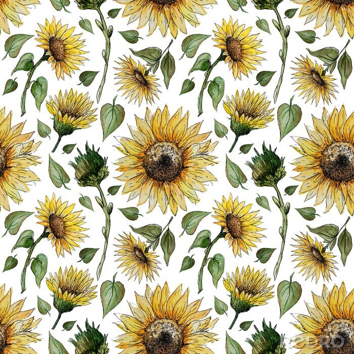 Tapete Hand drawn watercolor seamless pattern with sunflower flowers on a white background for your disign.