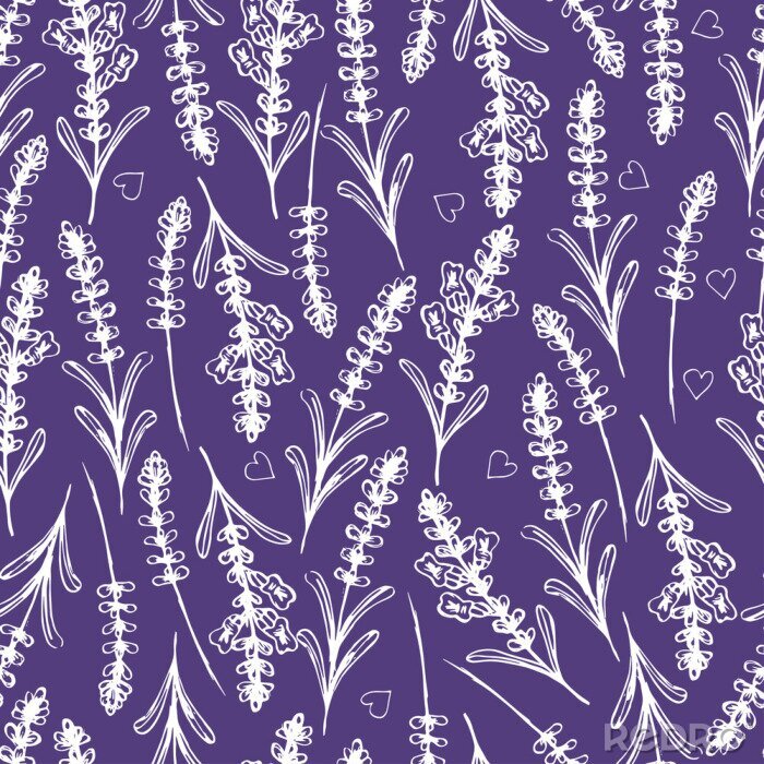 Tapete Hand gezeichnet nahtlose Muster mit Lavendel. Vektor-Illustration