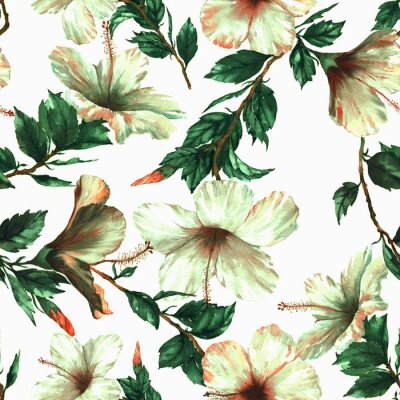 Tapete Handgezeichnete Aquarell floral nahtlose Muster mit dem zarten weißen Hibiskus Blumen auf dem weißen Hintergrund im Vintage-Stil. Natürlicher tropischer und vibrierender wiederholter Druck für Textil,