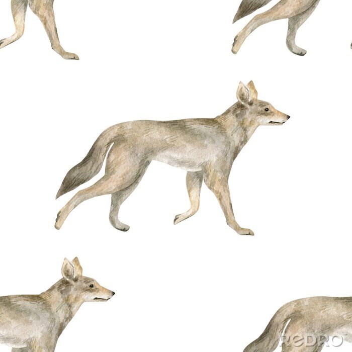 Tapete Hellbraune Wölfe auf weißem Hintergrund