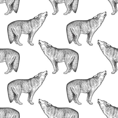 Tapete Heulende Wölfe mit Bleistift skizziert