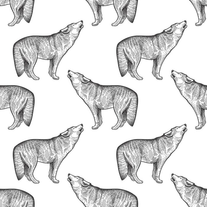 Tapete Heulende Wölfe mit Bleistift skizziert