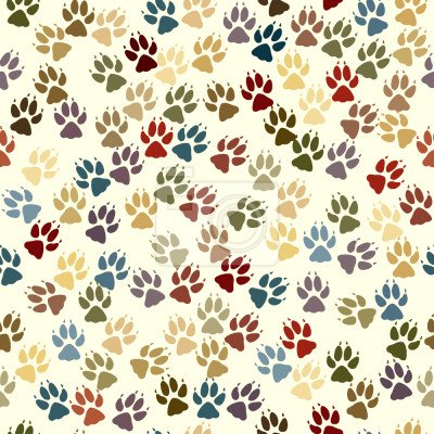 Tapete Hündchen Pfoten