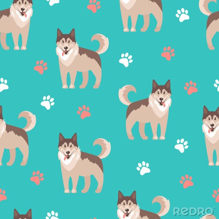 Tapete Hunde Husky auf türkisfarbenem Hintergrund