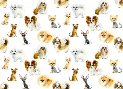 Tapete Hunde verschiedener kleiner Rassen