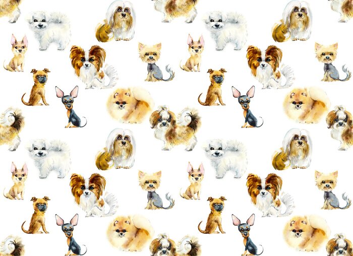 Tapete Hunde verschiedener kleiner Rassen