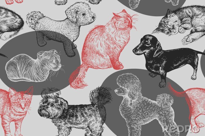 Tapete Hunde verschiedener Rassen auf einem grau-roten Motiv