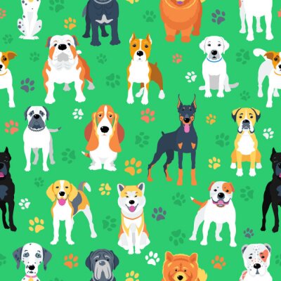 Hunde verschiedener Rassen auf grünem Hintergrund