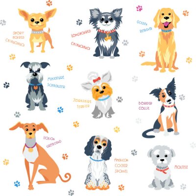 Tapete Hunde verschiedener Rassen Aufschriften und Pfoten