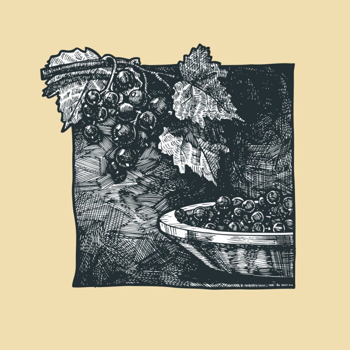 Tapete Illustration schwarze Johannisbeere