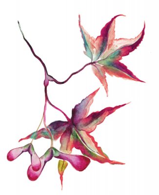 Sticker Japanischer Ahorn Blätter mit Samen