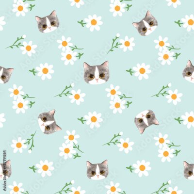 Tapete Kätzchen in einem Feld voller Gänseblümchen
